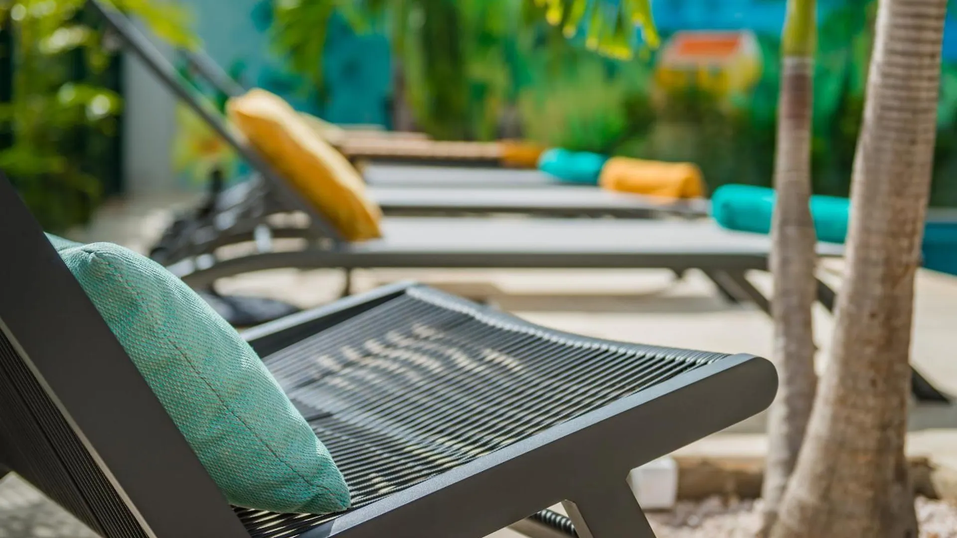 Casita Palma Boutique Resort Playa